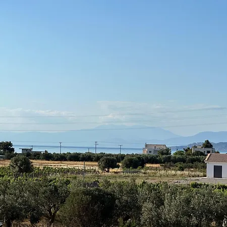 Vanna * Corinth